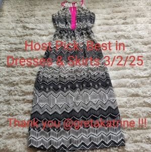 🎉HP🎉 EUC Black and white sheer maxi dress